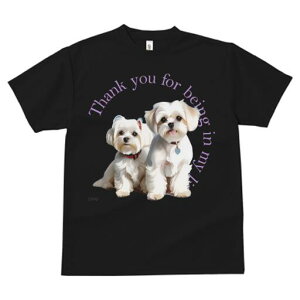 }`[Y TVc  j[NfUCfB[X t@  t vg lJWA 킢 lԗp Mtg I ҏ΍ }`[Y