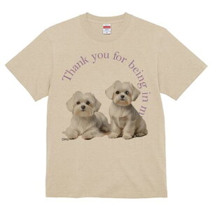 }`[Y TVc  j[NfUCfB[X t@  t vg lJWA 킢 lԗp Mtg I ҏ΍ }`[Y