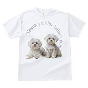 }`[Y TVc  j[NfUCfB[X t@  t vg lJWA 킢 lԗp Mtg I ҏ΍ }`[Y