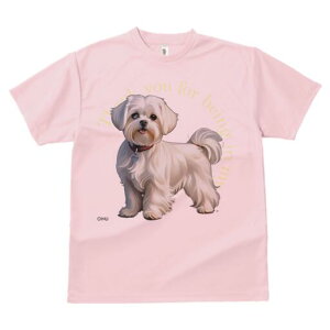 }`[Y TVc  j[NfUCfB[X t@  t vg lJWA 킢 lԗp Mtg I ҏ΍ }`[Y