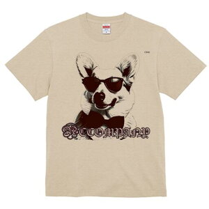 R[M[ TVc  j[NfUCfB[X t@  t vg lJWA 킢 lԗp Mtg I ҏ΍ TOX R[M[ lN^C