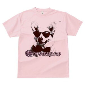 R[M[ TVc  j[NfUCfB[X t@  t vg lJWA 킢 lԗp Mtg I ҏ΍ TOX R[M[ lN^C