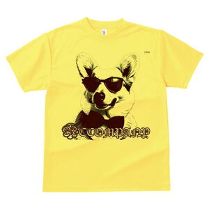 R[M[ TVc  j[NfUCfB[X t@  t vg lJWA 킢 lԗp Mtg I ҏ΍ TOX R[M[ lN^C