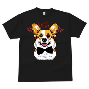 R[M[ TVc  j[NfUCfB[X t@  t vg lJWA 킢 lԗp Mtg I ҏ΍ lN^C R[M[