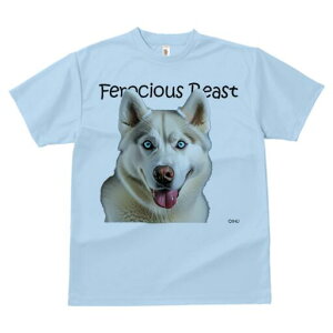 nXL[ TVc  j[NfUCfB[X t@  t vg lJWA 킢 lԗp Mtg I ҏ΍ nXL[