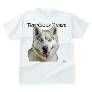 nXL[ TVc  j[NfUCfB[X t@  t vg lJWA 킢 lԗp Mtg I ҏ΍ nXL[