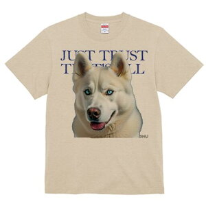 VxAnXL[ TVc  j[NfUCfB[X t@  t vg lJWA 킢 lԗp Mtg I ҏ΍ VxAnXL[