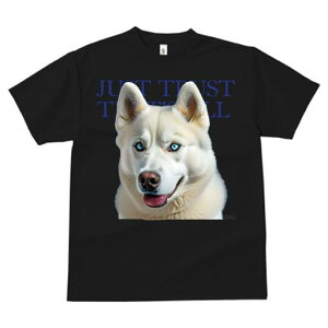 VxAnXL[ TVc  j[NfUCfB[X t@  t vg lJWA 킢 lԗp Mtg I ҏ΍ VxAnXL[