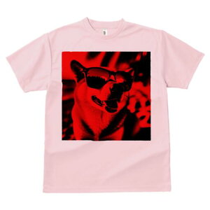 Č TVc  j[NfUCfB[X t@  t vg lJWA 킢 lԗp Mtg I ҏ΍ TOX Č