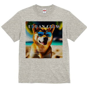 Č TVc  j[NfUCfB[X t@  t vg lJWA 킢 lԗp Mtg I ҏ΍ TOX Č r[`