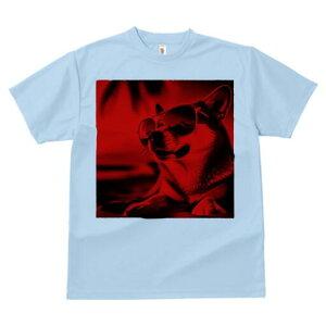 Č TVc  j[NfUCfB[X t@  t vg lJWA 킢 lԗp Mtg I ҏ΍ TOX Č  ][g