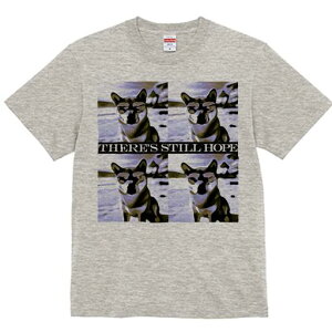 Č TVc  j[NfUCfB[X t@  t vg lJWA 킢 lԗp Mtg I ҏ΍ TOX Č