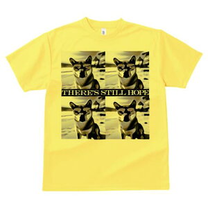 Č TVc  j[NfUCfB[X t@  t vg lJWA 킢 lԗp Mtg I ҏ΍ TOX Č