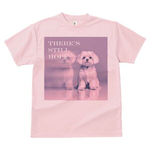 }`[Y TVc  j[NfUCfB[X t@  t vg lJWA 킢 lԗp Mtg I ҏ΍ }`[Y