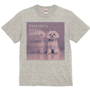 }`[Y TVc  j[NfUCfB[X t@  t vg lJWA 킢 lԗp Mtg I ҏ΍ }`[Y