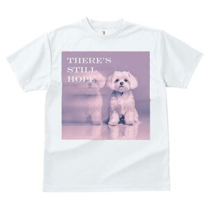 }`[Y TVc  j[NfUCfB[X t@  t vg lJWA 킢 lԗp Mtg I ҏ΍ }`[Y