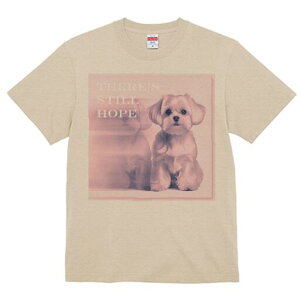 }`[Y TVc  j[NfUCfB[X t@  t vg lJWA 킢 lԗp Mtg I ҏ΍ }`[Y