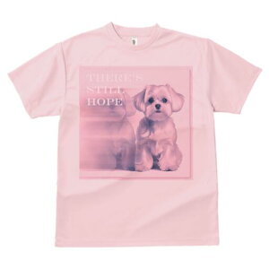 }`[Y TVc  j[NfUCfB[X t@  t vg lJWA 킢 lԗp Mtg I ҏ΍ }`[Y