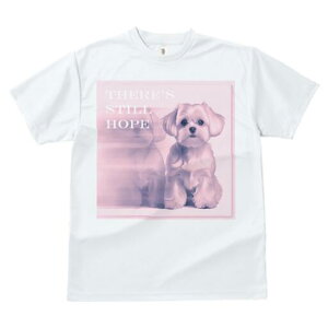 }`[Y TVc  j[NfUCfB[X t@  t vg lJWA 킢 lԗp Mtg I ҏ΍ }`[Y