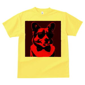 R[M[ TVc  j[NfUCY LbY t@  t vg lJWA 킢 lԗp Mtg I ҏ΍ TOX R[M[ lN^C