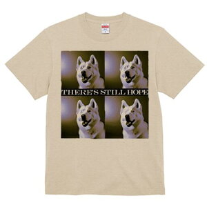 nXL[ TVc  j[NfUCfB[X t@  t vg lJWA 킢 lԗp Mtg I ҏ΍ nXL[