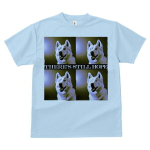 nXL[ TVc  j[NfUCfB[X t@  t vg lJWA 킢 lԗp Mtg I ҏ΍ nXL[