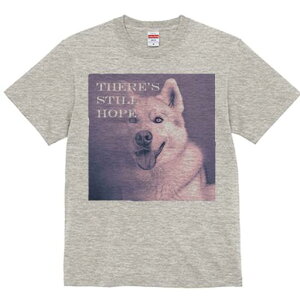 nXL[ TVc  j[NfUCfB[X t@  t vg lJWA 킢 lԗp Mtg I ҏ΍ nXL[