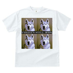 nXL[ TVc  j[NfUCfB[X t@  t vg lJWA 킢 lԗp Mtg I ҏ΍ nXL[