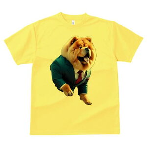 `E`E TVc  j[NfUCfB[X t@  t vg lJWA 킢 lԗp Mtg I ҏ΍ X[c `E`E lN^C