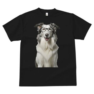 {[_[R[ TVc  j[NfUCfB[X t@  t vg lJWA 킢 lԗp Mtg I ҏ΍ Kl {[_[R[