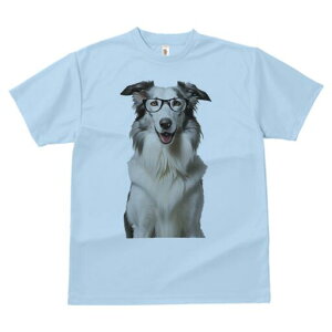 {[_[R[ TVc  j[NfUCfB[X t@  t vg lJWA 킢 lԗp Mtg I ҏ΍ Kl {[_[R[