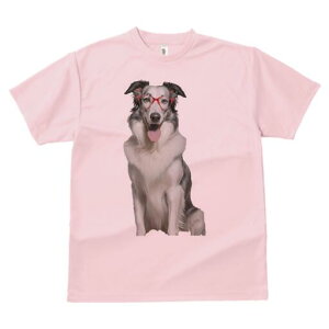 {[_[R[ TVc  j[NfUCY LbY t@  t vg lJWA 킢 lԗp Mtg I ҏ΍ Kl {[_[R[