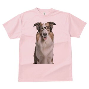 {[_[R[ TVc  j[NfUCfB[X t@  t vg lJWA 킢 lԗp Mtg I ҏ΍ Kl {[_[R[