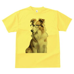 {[_[R[ TVc  j[NfUCfB[X t@  t vg lJWA 킢 lԗp Mtg I ҏ΍ Kl {[_[R[