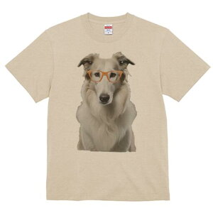 {]C TVc  j[NfUCfB[X t@  t vg lJWA 킢 lԗp Mtg I ҏ΍ Kl {]C