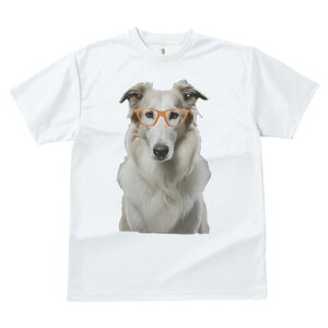 {]C TVc  j[NfUCfB[X t@  t vg lJWA 킢 lԗp Mtg I ҏ΍ Kl {]C