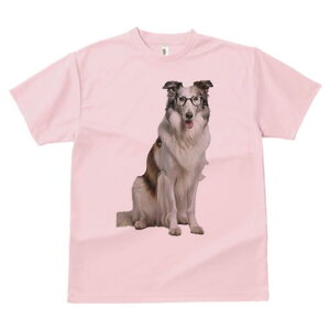 R[ TVc  j[NfUCY LbY t@  t vg lJWA 킢 lԗp Mtg I ҏ΍ Kl R[