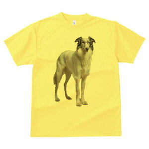 {]C TVc  j[NfUCfB[X t@  t vg lJWA 킢 lԗp Mtg I ҏ΍ Kl {]C