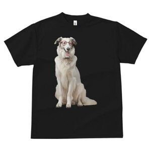 {]C TVc  j[NfUCfB[X t@  t vg lJWA 킢 lԗp Mtg I ҏ΍ Kl {]C