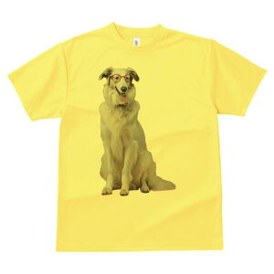 {]C TVc  j[NfUCY LbY t@  t vg lJWA 킢 lԗp Mtg I ҏ΍ Kl {]C