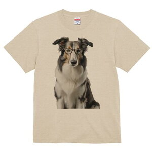 {[_[R[ TVc  j[NfUCfB[X t@  t vg lJWA 킢 lԗp Mtg I ҏ΍ Kl {[_[R[