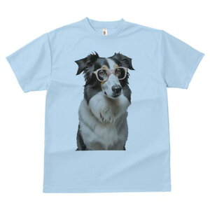 {[_[R[ TVc  j[NfUCY LbY t@  t vg lJWA 킢 lԗp Mtg I ҏ΍ Kl {[_[R[