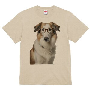 R[ TVc  j[NfUCfB[X t@  t vg lJWA 킢 lԗp Mtg I ҏ΍ Kl R[