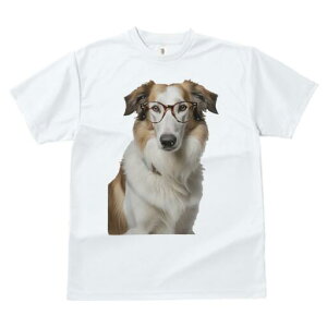 R[ TVc  j[NfUCY LbY t@  t vg lJWA 킢 lԗp Mtg I ҏ΍ Kl R[