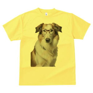 R[ TVc  j[NfUCY LbY t@  t vg lJWA 킢 lԗp Mtg I ҏ΍ Kl R[