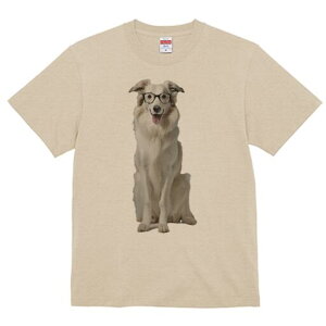 {[_[R[ TVc  j[NfUCfB[X t@  t vg lJWA 킢 lԗp Mtg I ҏ΍ Kl {[_[R[