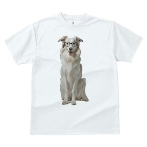 {[_[R[ TVc  j[NfUCY LbY t@  t vg lJWA 킢 lԗp Mtg I ҏ΍ Kl {[_[R[