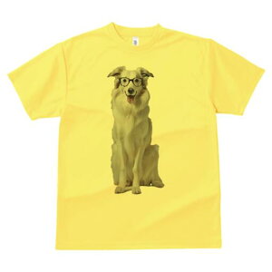 {[_[R[ TVc  j[NfUCY LbY t@  t vg lJWA 킢 lԗp Mtg I ҏ΍ Kl {[_[R[