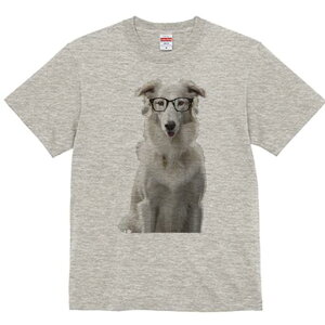 {[_[R[ TVc  j[NfUCfB[X t@  t vg lJWA 킢 lԗp Mtg I ҏ΍ Kl {[_[R[