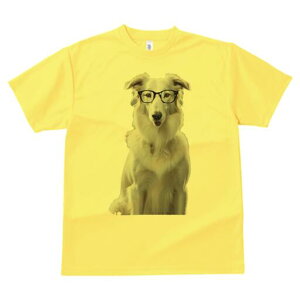 {[_[R[ TVc  j[NfUCfB[X t@  t vg lJWA 킢 lԗp Mtg I ҏ΍ Kl {[_[R[